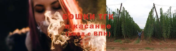 прущая мука Губаха