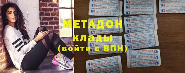 прущие грибы Грязовец