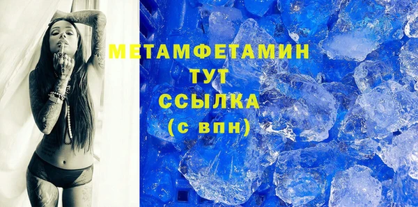 прущие грибы Грязовец