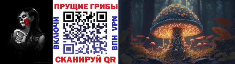 Галлюциногенные грибы мухоморы MEGA как зайти Лангепас