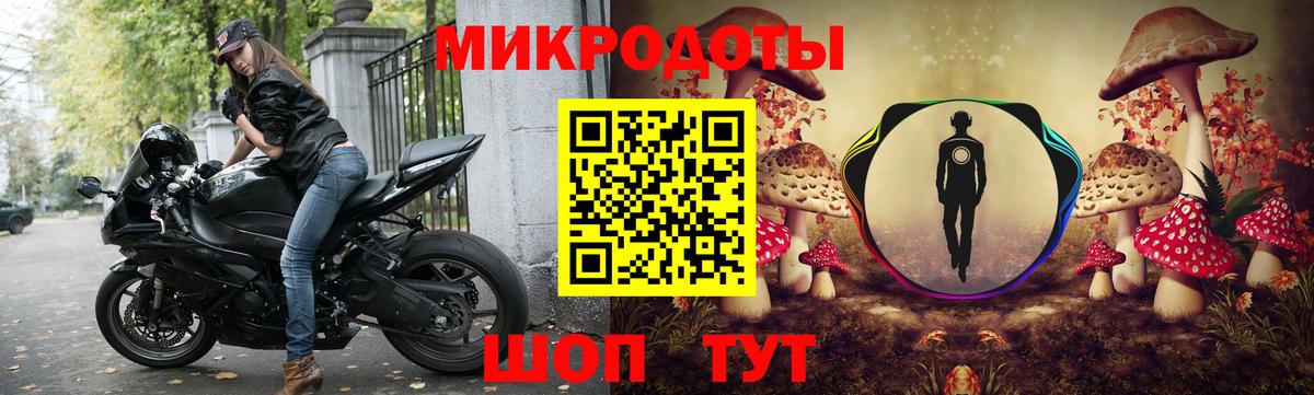 Галлюциногенные грибы Psilocybe Лангепас