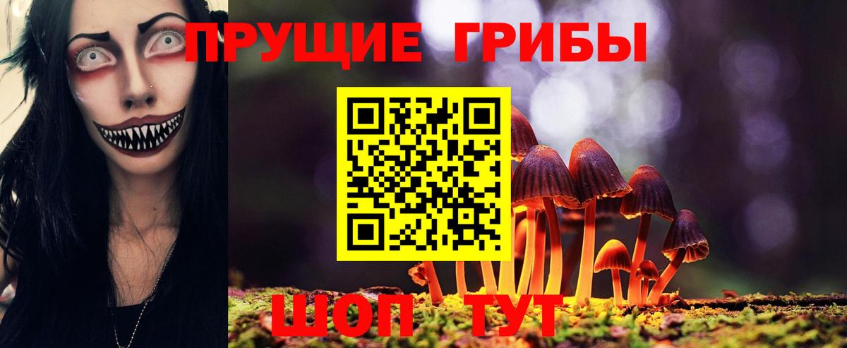 где можно купить   Вход с VPN  Лангепас  Псилоцибиновые грибы Cubensis 